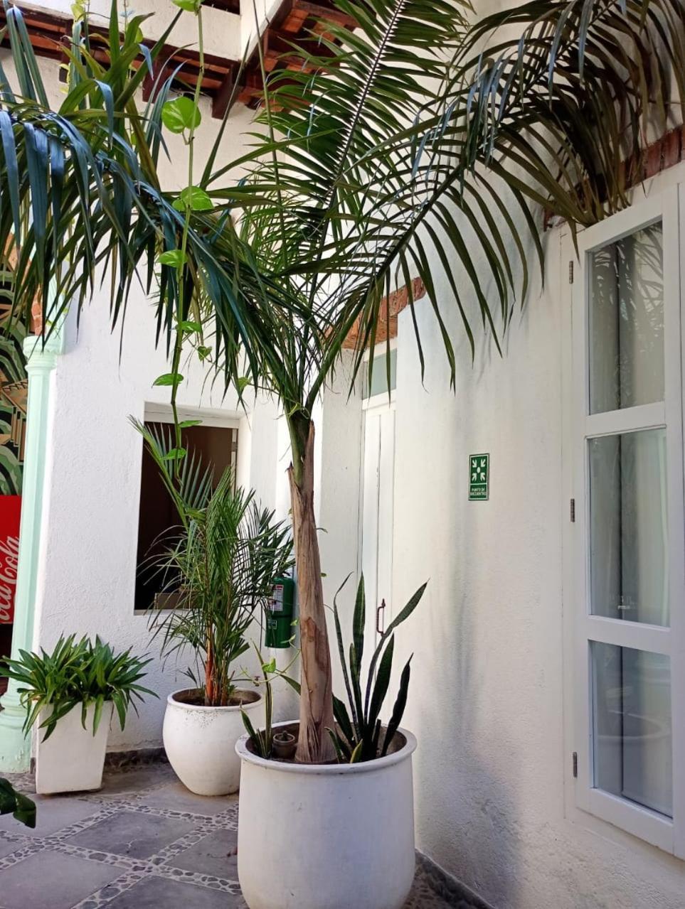 Casa Verde Hotel Санта-Марта Екстер'єр фото